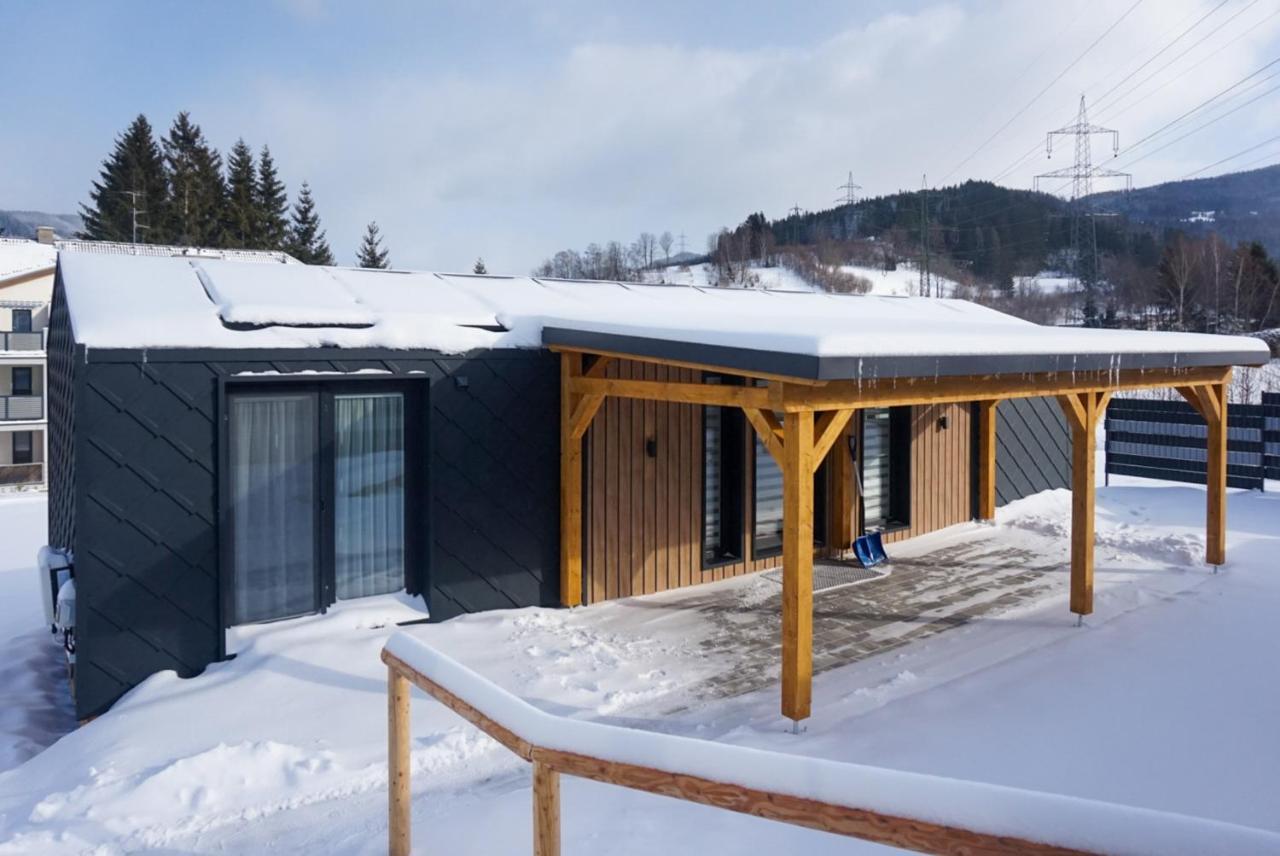 Chalet Stuhleckblick-Ferienhaus Direkt An Der Piste Und Mit Eigener Sauna 塞默灵施皮塔尔 外观 照片